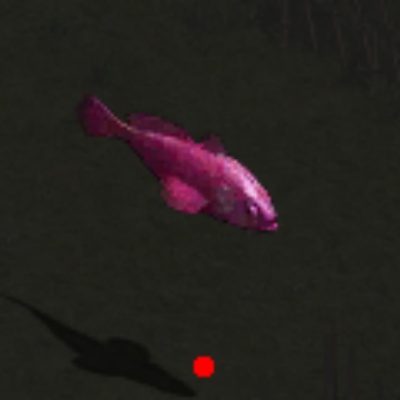 ���淨ʦ������������������Ӧ�Ը���ǿ����ս